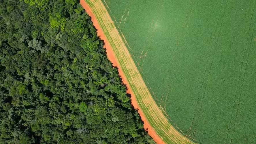 Integração institucional fortalece mercado de produção sustentável no Tocantins