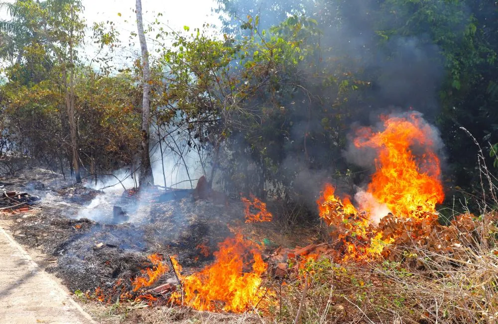 Área atingida por fogo irregular evidencia riscos ambientais e prejuízos econômicos em zonas urbanas e rurais