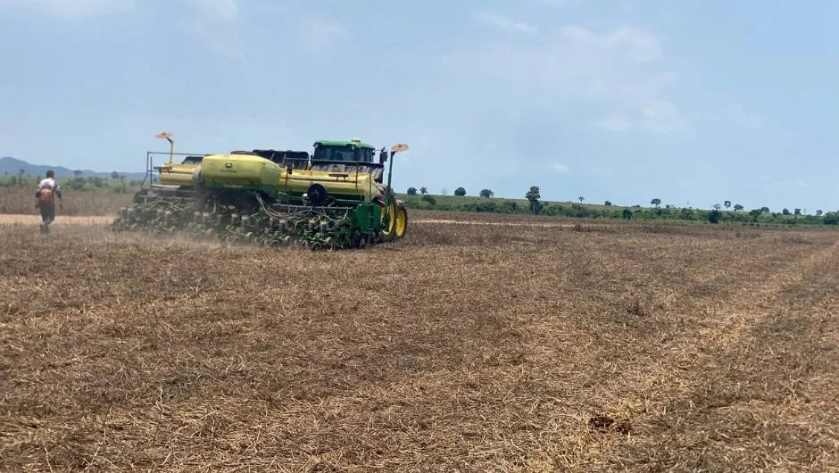 Produção agrícola no Tocantins combina soja, milho, sorgo e outras culturas em sistema diversificado de uso da terra